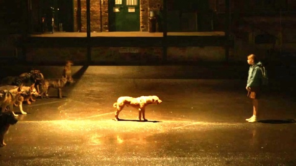 Photo from the movie White God [2014]