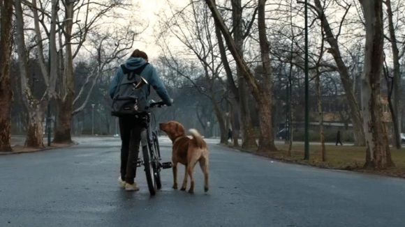 Photo from the movie White God [2014]