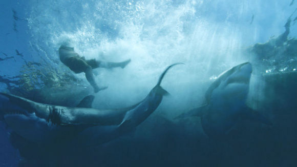 Photo du film Kon-Tiki