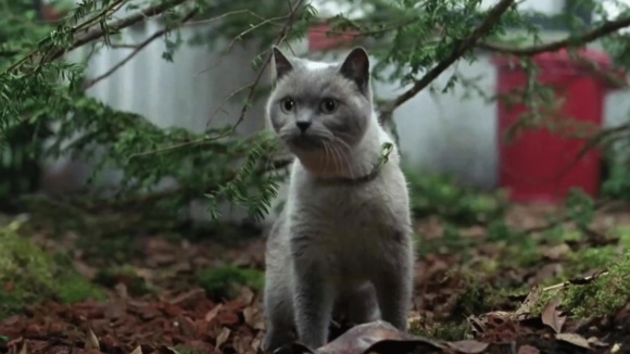 Photo du film Miss Minoes