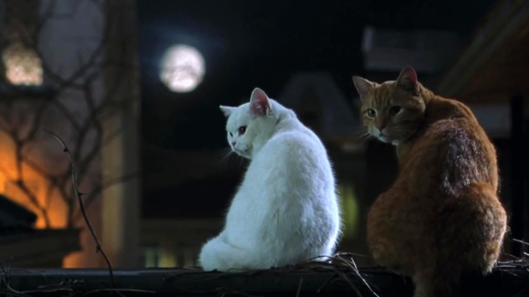 Photo du film Miss Minoes