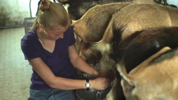 Photo du film Stop the Pounding Heart [2013]