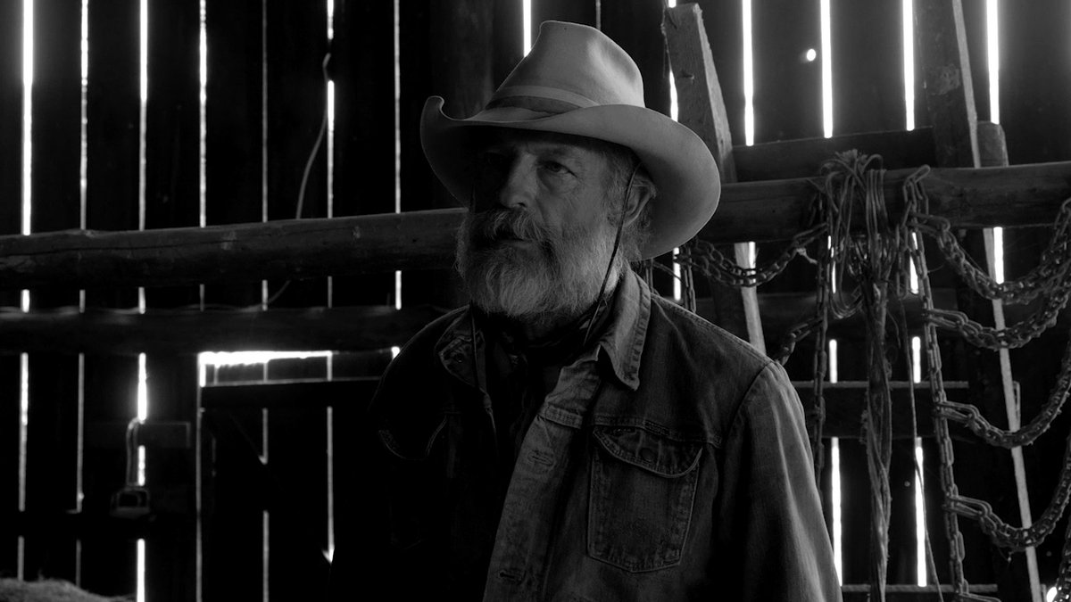 Photo du film The Divide