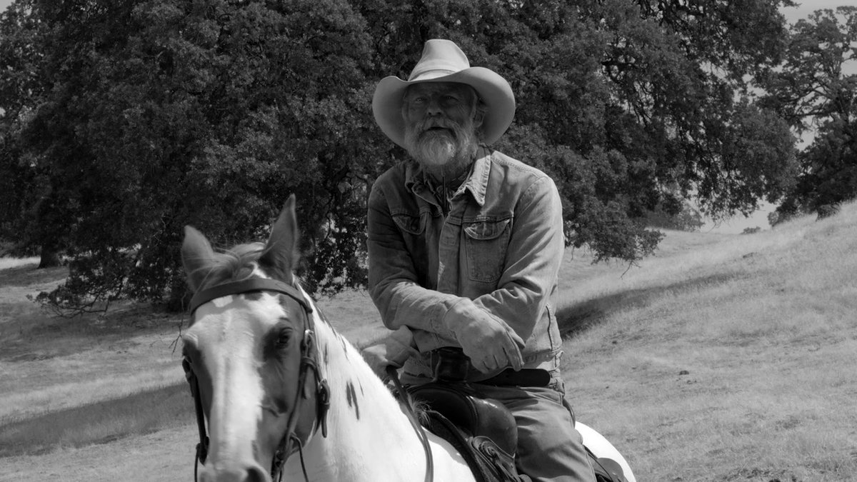 Photo du film The Divide