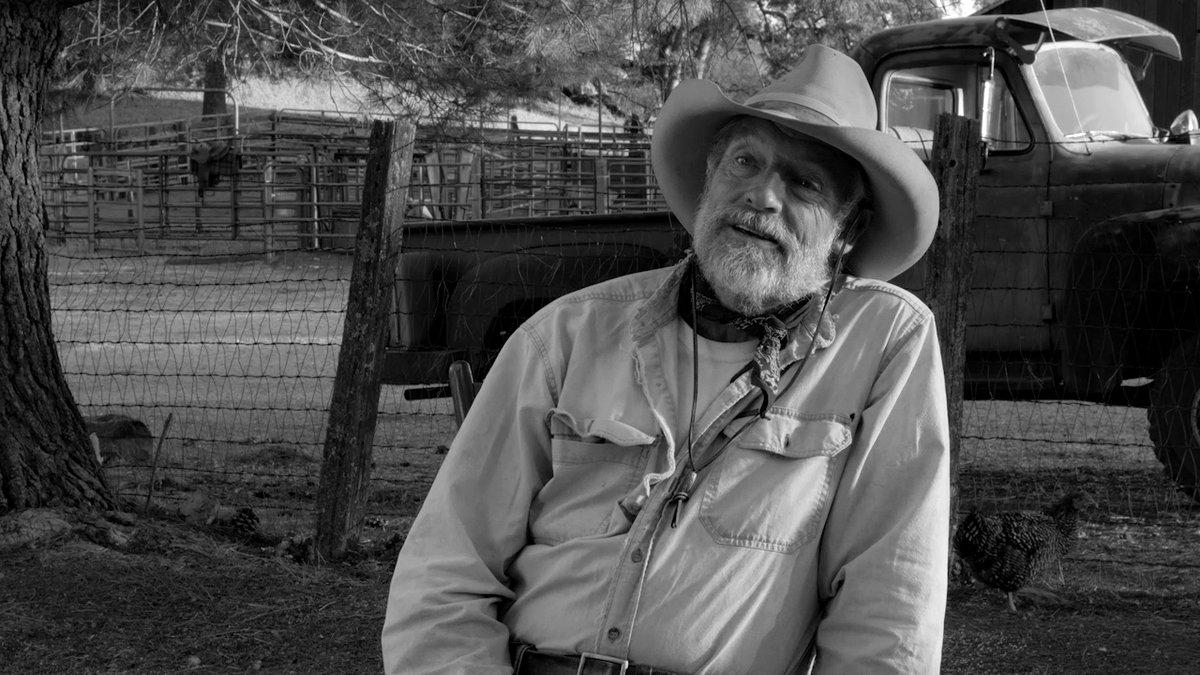 Photo du film The Divide