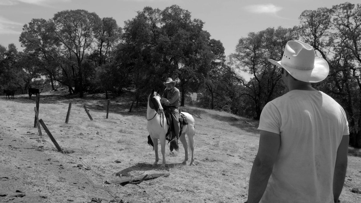 Photo du film The Divide