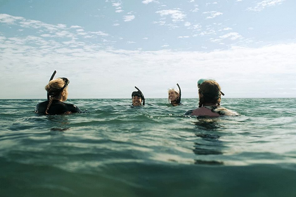 Photo du film The Reef: Stalked [2022]