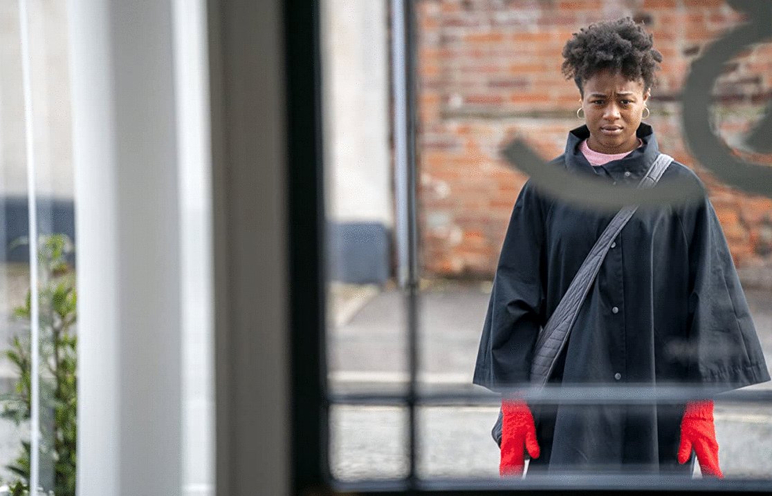 Photo du film The Strays [2022]