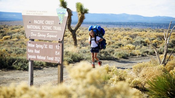 Photo du film Wild v.f.