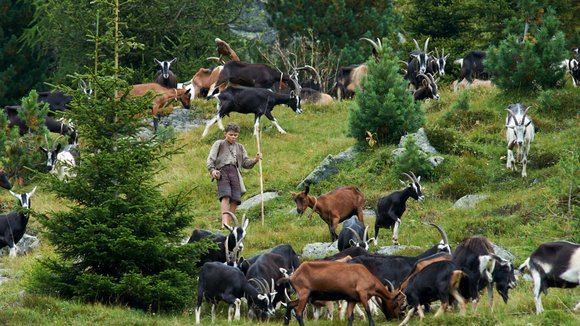 Photo du film Heidi v.f.