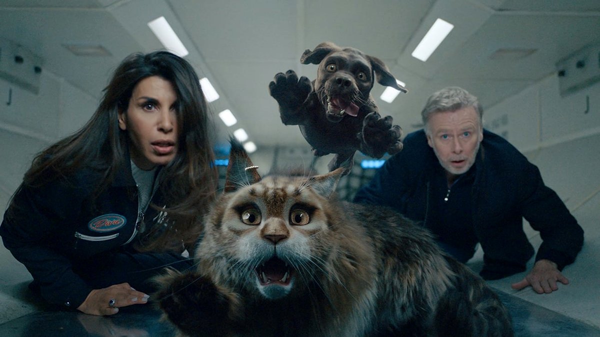 Photo du film Chien et chat