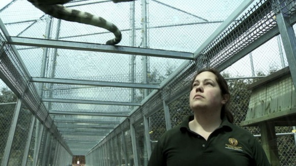 Photo from the movie Bestiaire [2012]