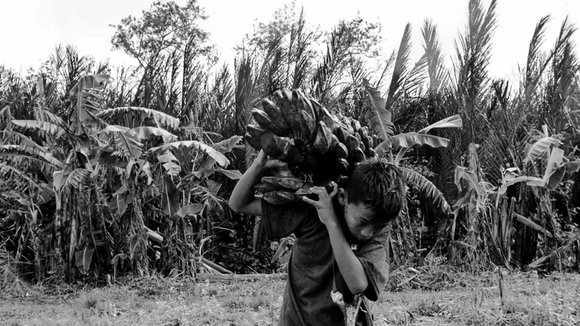 Photo from the movie From What Is Before [2014]