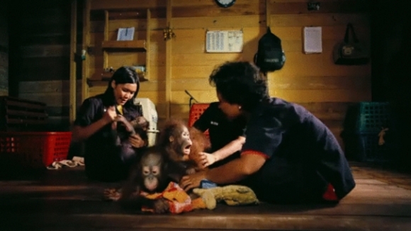 Photo du film Nés pour être libres