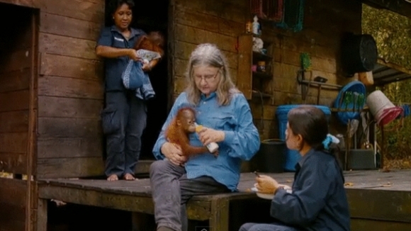 Photo du film Nés pour être libres