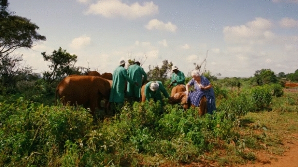 Photo du film Nés pour être libres