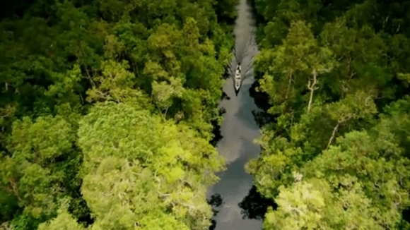 Photo du film Nés pour être libres