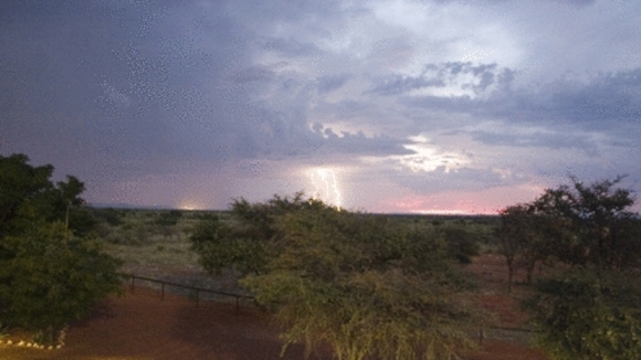 Photo from the movie The Meerkats