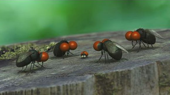 Photo du film Minuscule: La vallée des fourmis perdues [2013]