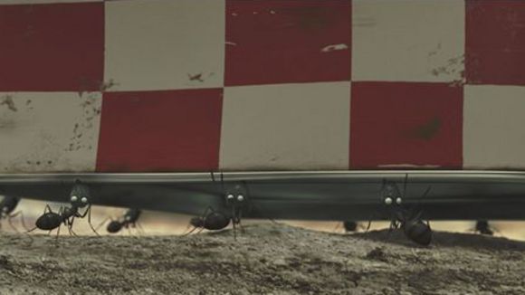 Photo du film Minuscule: La vallée des fourmis perdues [2013]