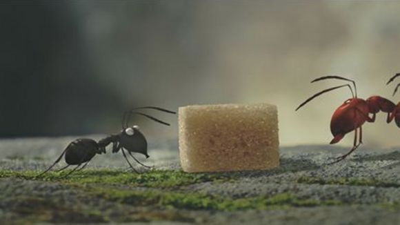 Photo du film Minuscule: La vallée des fourmis perdues [2013]