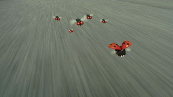 Photo du film Minuscule: La vallée des fourmis perdues [2013]