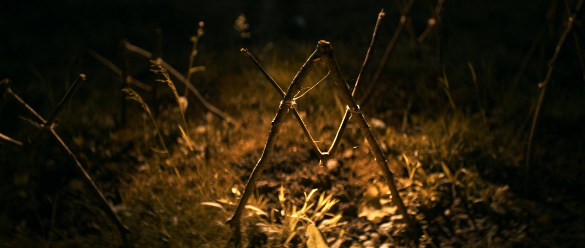 Photo du film Shelby Oaks