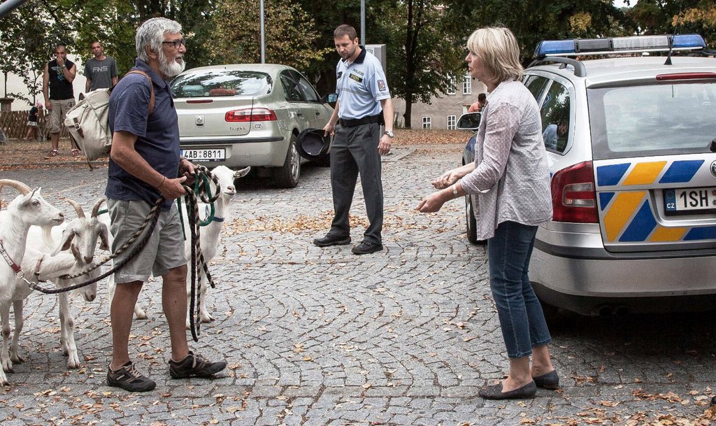 Photo from the movie Tiger Theory [2016]