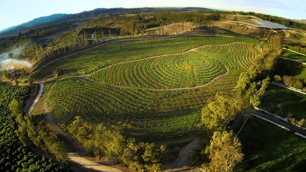 Photo from the movie The Biggest Little Farm [2018]