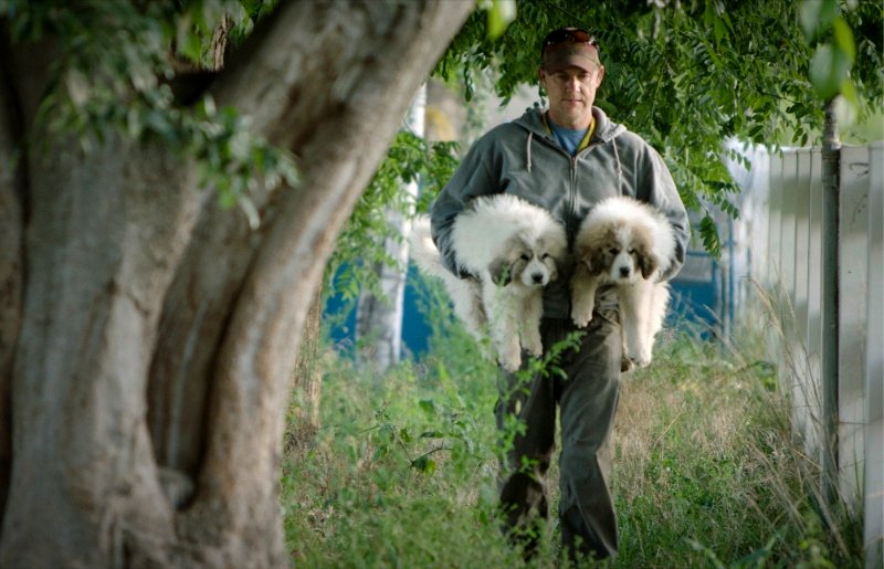 Photo from the movie The Biggest Little Farm [2018]