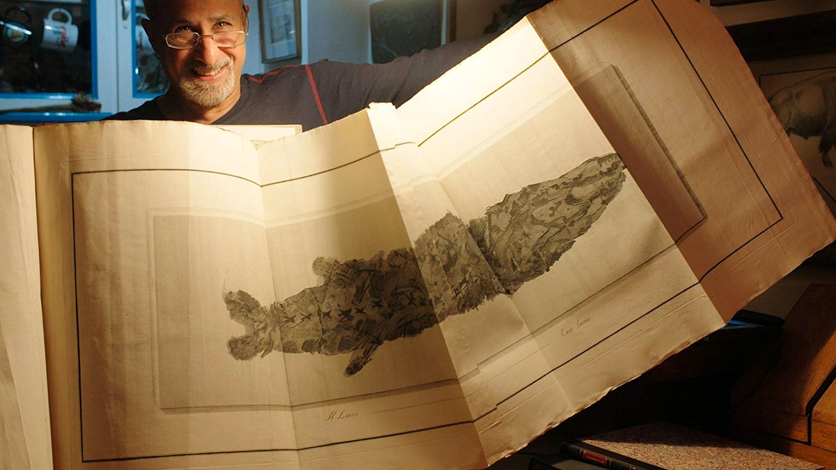 Photo du film The Booksellers