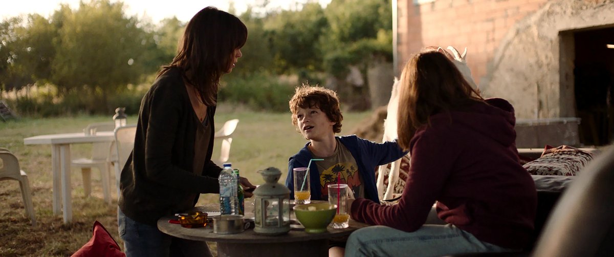 Photo du film The Swarm [2020]