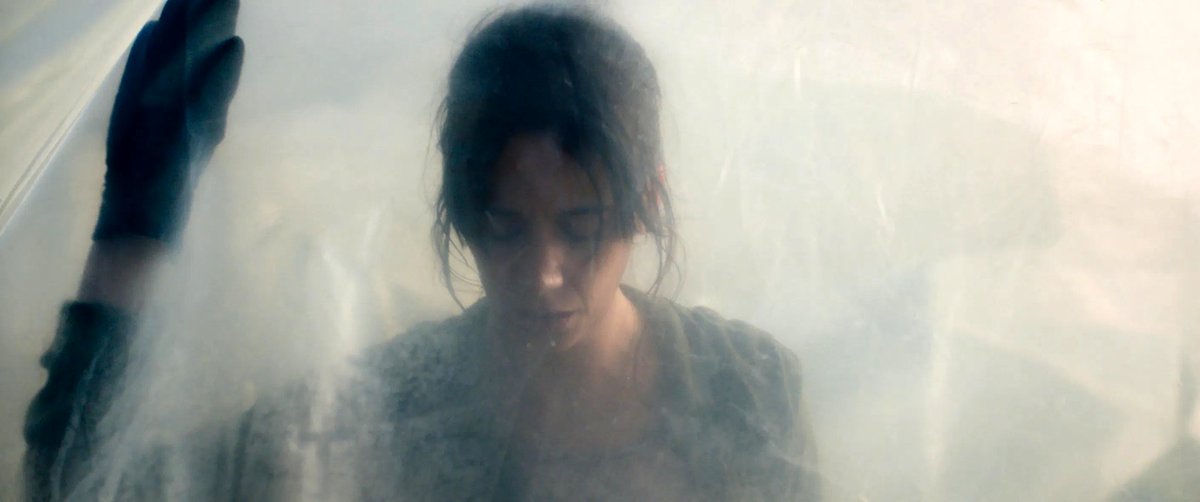 Photo du film The Swarm [2020]