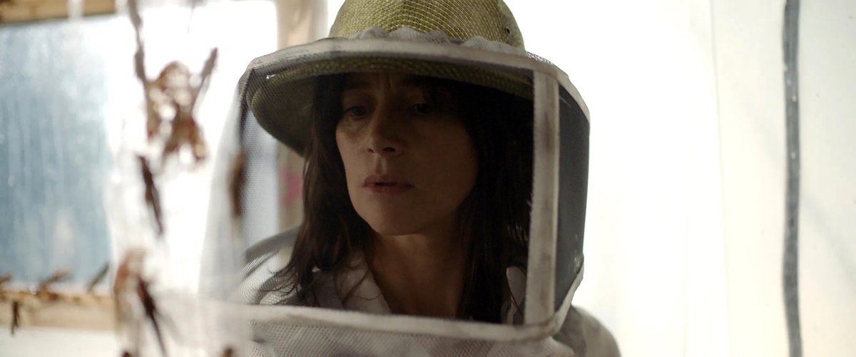 Photo du film The Swarm [2020]