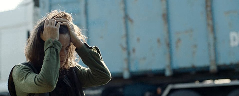 Photo du film The Swarm [2020]