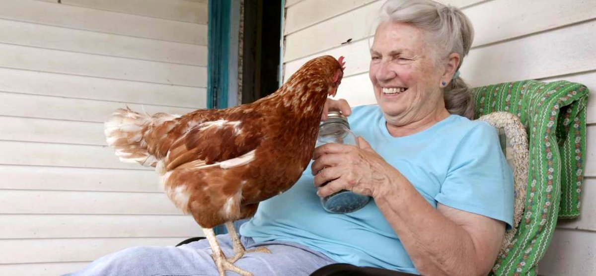 Photo du film Émilienne et le temps qui passe [2023]