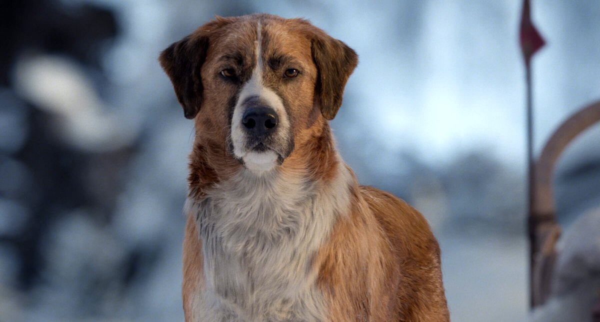 Photo from the movie L'Appel de la forêt