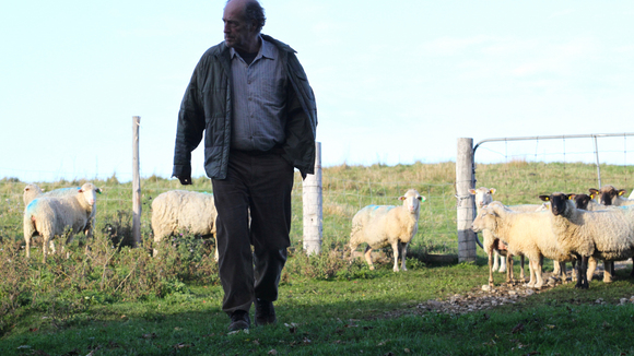 Photo from the movie The Auction