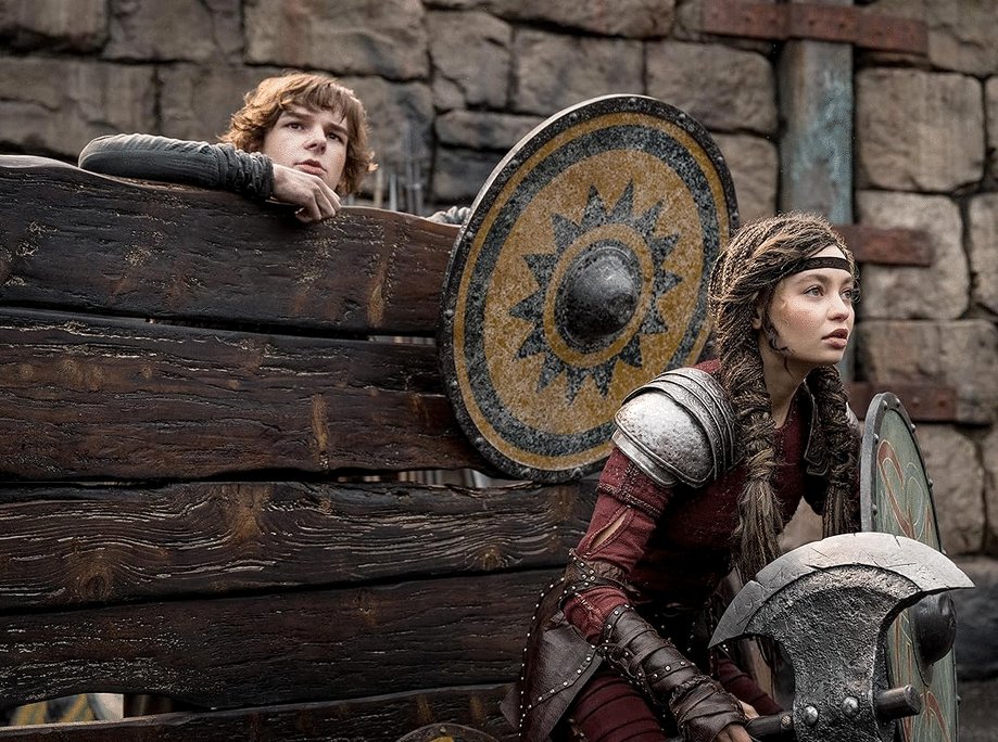 Photo du film How to Train Your Dragon