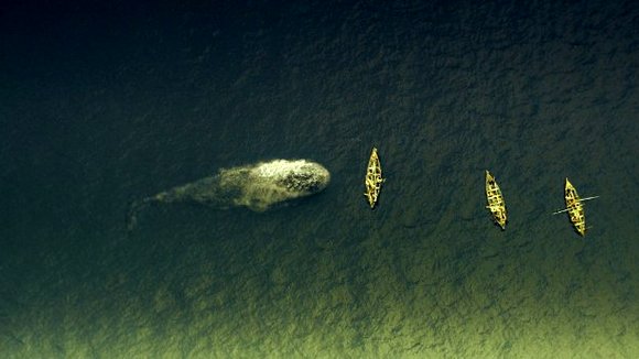 Photo from the movie In the Heart of the Sea