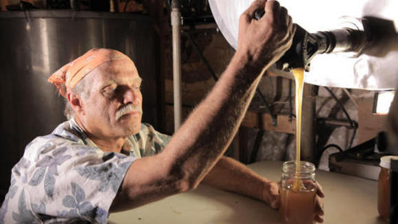 Photo du film More Than Honey [2012]