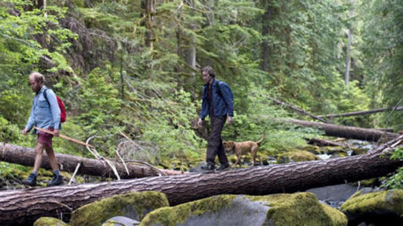 Photo du film Old Joy [2006]