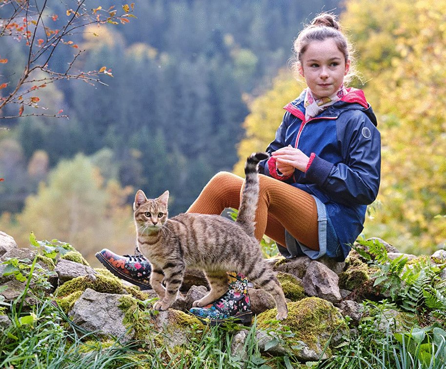 Photo du film A Cat's Life [2023]