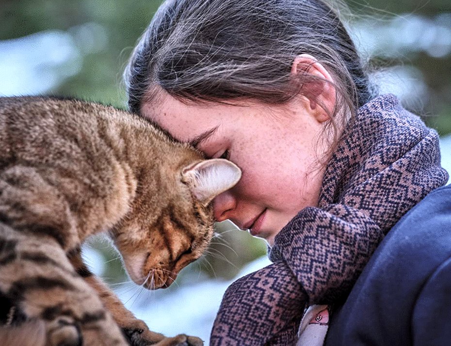 Photo du film A Cat's Life [2023]