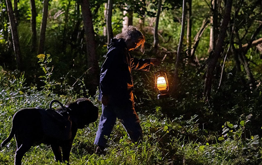 Photo du film A Cat's Life [2023]