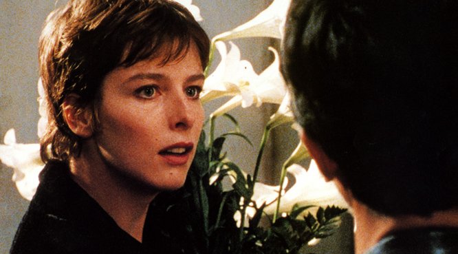 Photo from the movie Adultery: A User's Guide