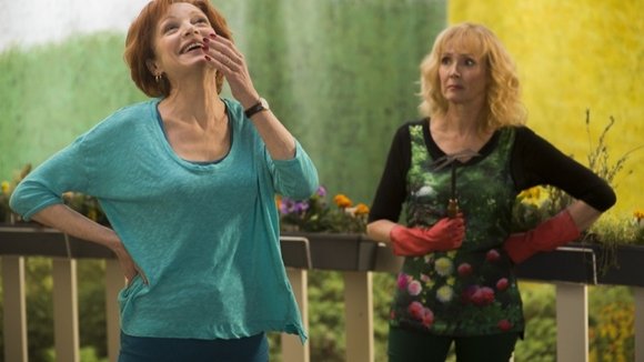 Photo from the movie Life of Riley