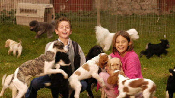 Photo du film Bailey's Billions