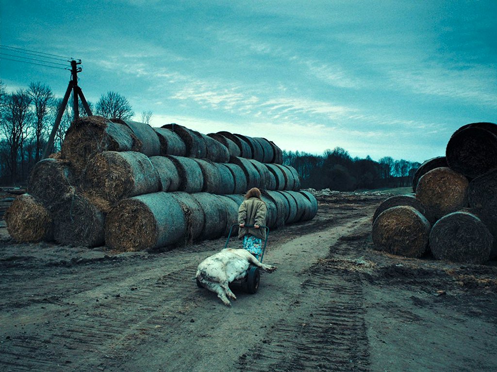 Photo from the movie Miracle