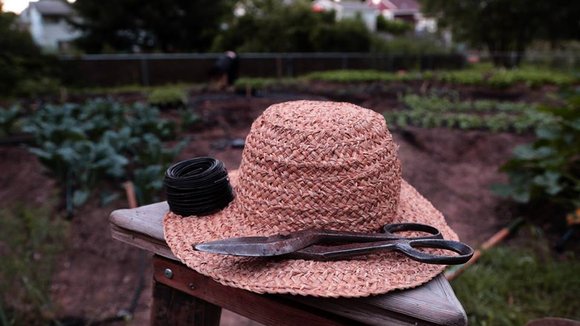 Photo du film Plant This Movie